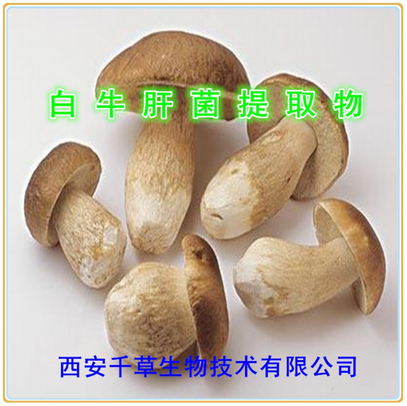 白牛肝菌提取物